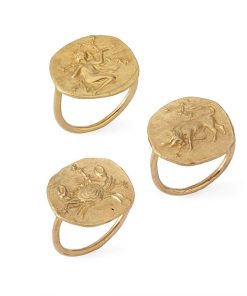 Zodiac Rings Tanya Gruenberg