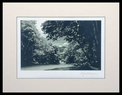 , "River of Beauty"