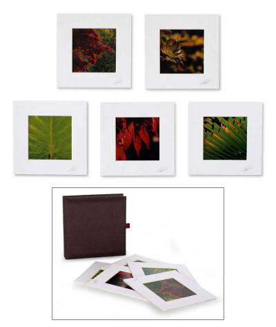 , "Patterns of Life"