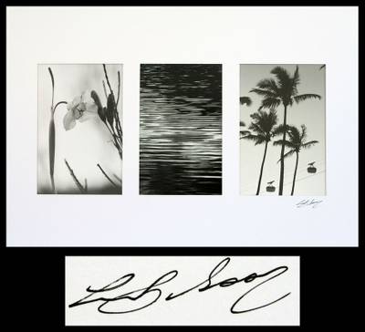 , "Trio of Rio"