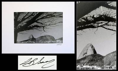 , "Sugar Loaf with a Ceiba"