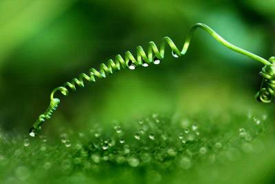 , "Raindrops"