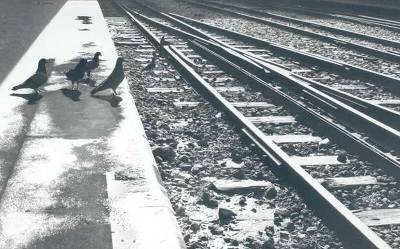 , "Rails"