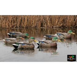 ZINK AVIAN-X TOP FLIGHT DUCK DECOYS EARLY SEASON MALLARD FLOATERS