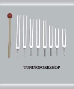 B00LFNECHS TFS Tuningforkshop 8 Pc Fibonacci Tuning Fork for Healing with Mallet & Pouch