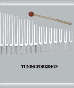 B00LFNEHBY TFS Tuningforkshop 15 Pc Human Organ Tuning Fork for Healing with Mallet & Pouch