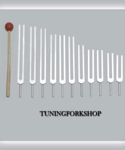 B00LFNEG8S TFS Tuningforkshop 11 Pc Planetary Tuning Fork for Healing with Mallet & Pouch
