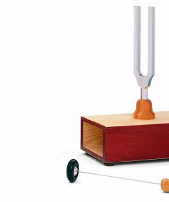 B005LY3VJC 3B Scientific U10121 Tuning Fork on Resonance Box, 440Hz