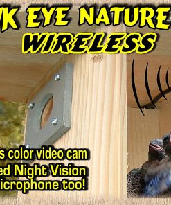 B006JECZ6I Birdhouse Spy Cam BCAMHEW Hawk-Eye Wireless Spy Camera (Set of 1)
